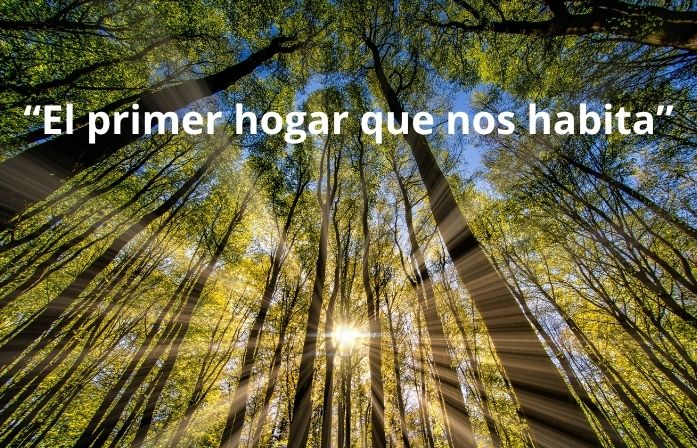 El primer hogar que nos habita (1)